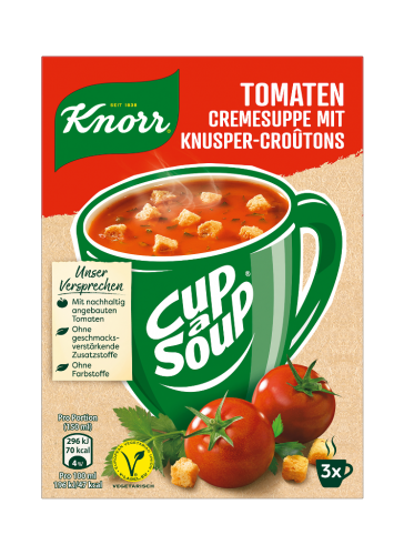 12 45gr Pg Knorr Instant Cup a Soup 