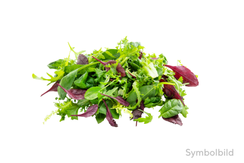 1 1kgKt Pflücksalat Babyleaf gewaschen 