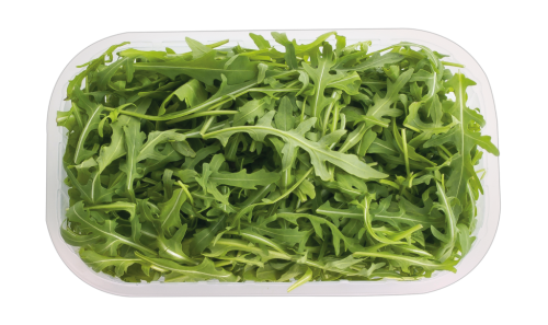 1 100gr Bt Rucola gewaschen 