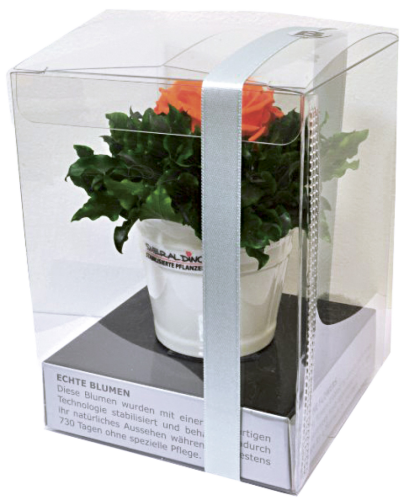 6 Stk Smeradlino Gesteck C, verschiedene Farben 