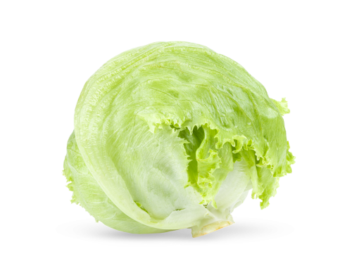 1 1 St Pg Eisbergsalat 