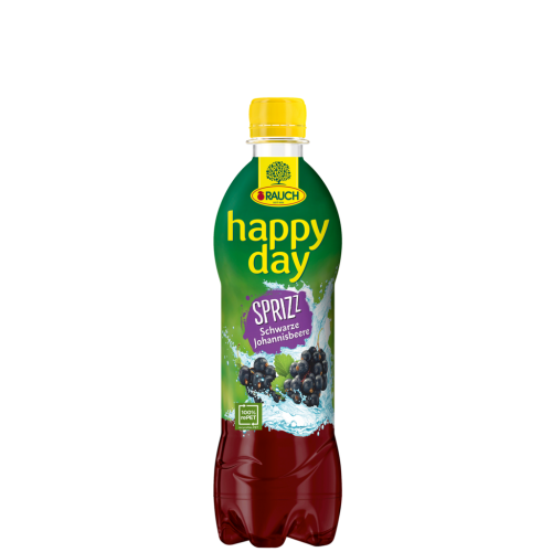 12 0.50l Fl Rauch Happy Day Schwarze Johannisbeere Sprizz PET EWP 