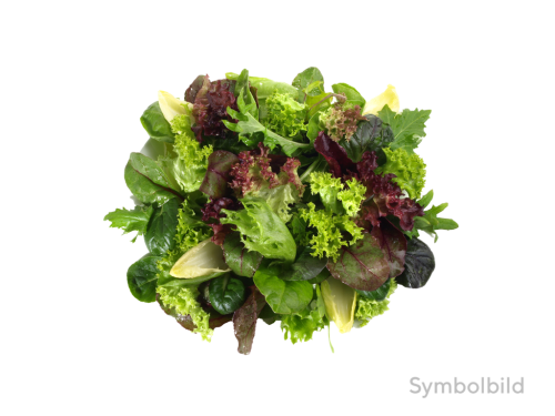 12 1StPg Mix-Salat 