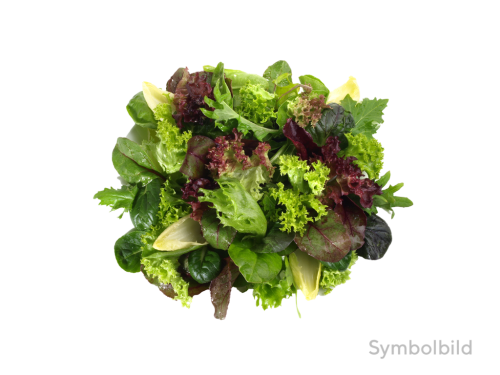 12 115g Pg Mix-Salat 