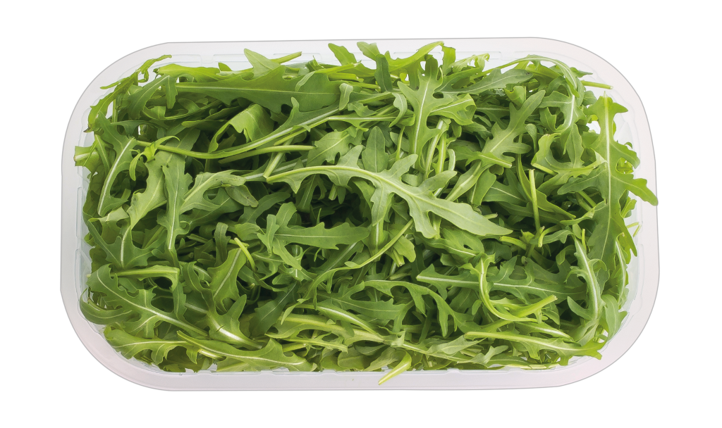 1 100gr Bt Rucola gewaschen 