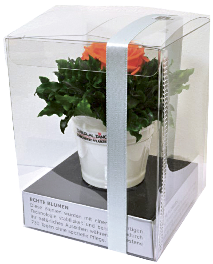 6 Stk Smeradlino Gesteck C, verschiedene Farben 
