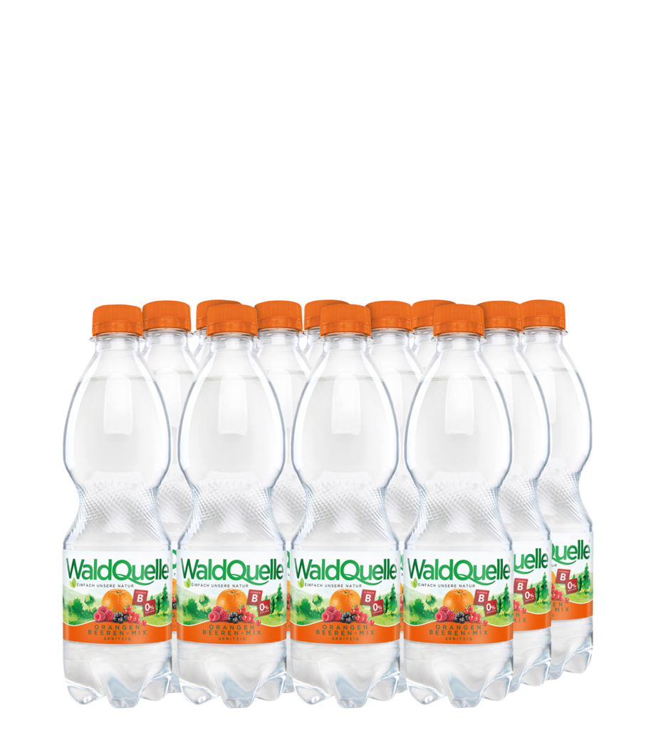 12 0.50l Fl Waldquelle Orangen Beeren Mix PET EWP 