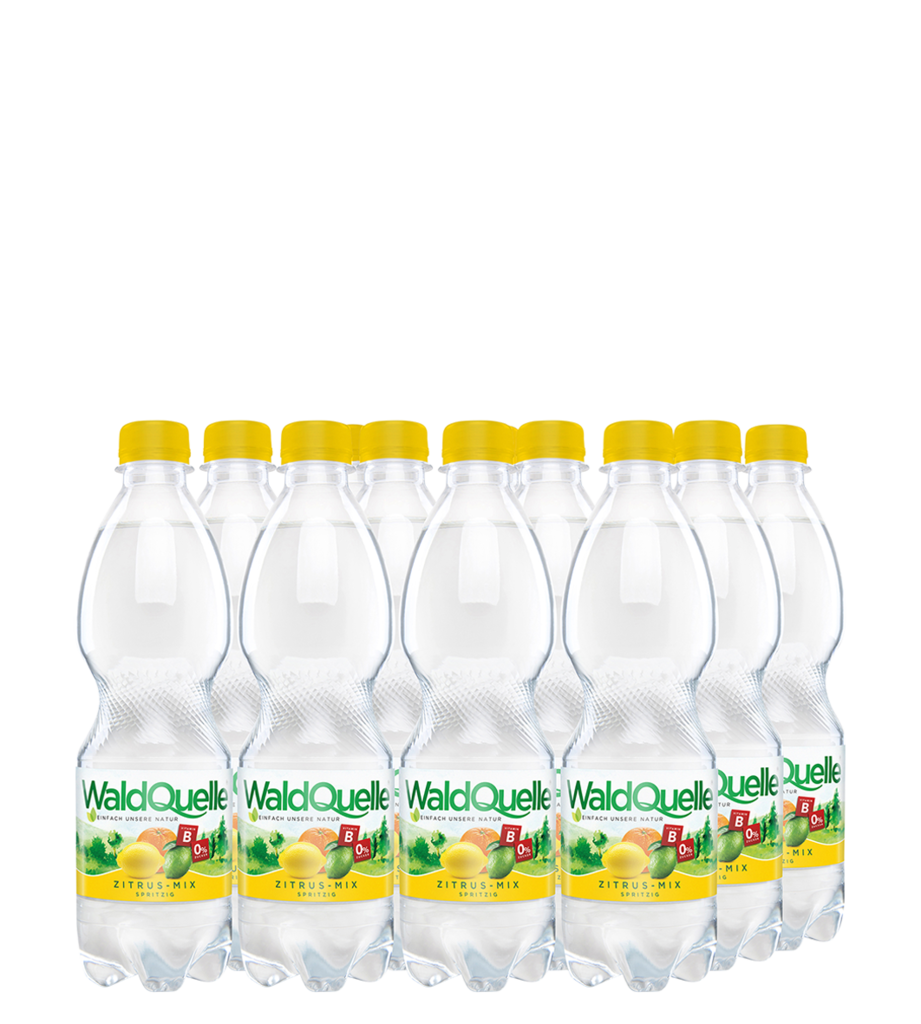 12 0.50l Fl Waldquelle Zitrus-Mix PET EWP 