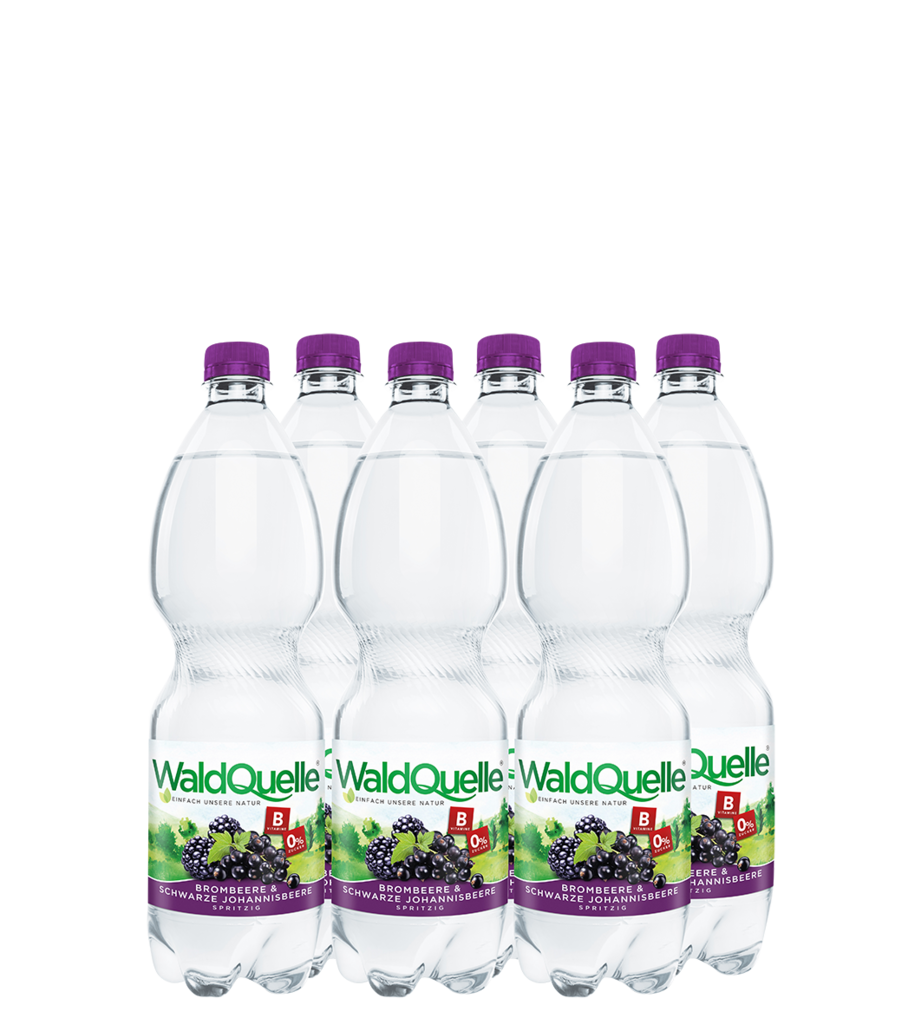 6 1.00l Fl Waldquelle Brombeere & Schwarze Johannisbeere PET EWP 