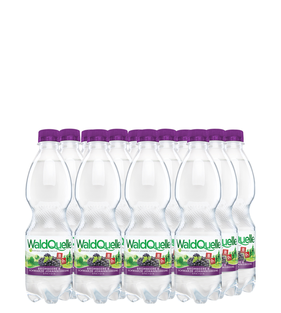 12 0.50l Fl Waldquelle Brombeere & Schwarze Johannisbeere PET EWP 